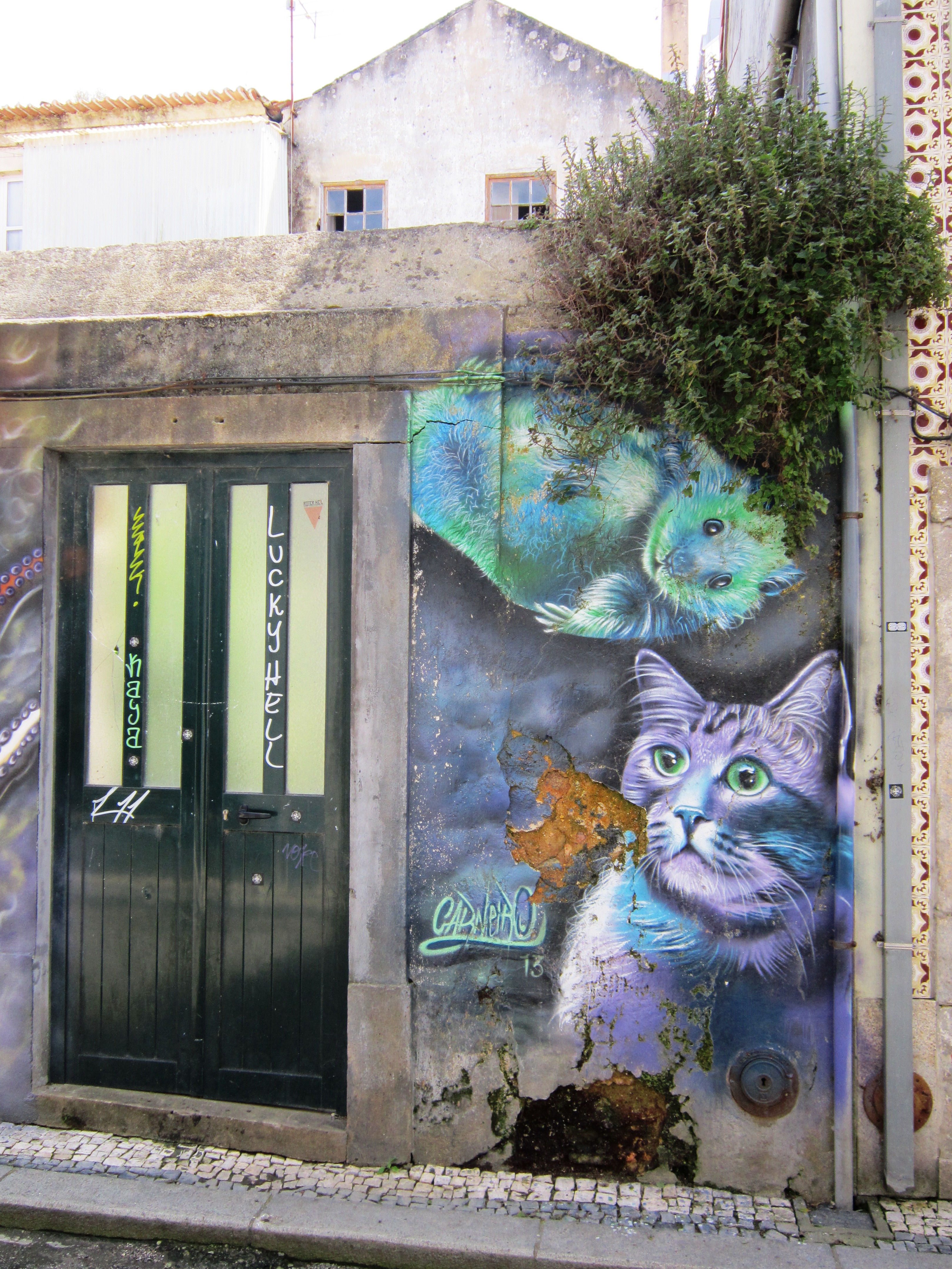 фасада с улично изкуство котка и хамстер